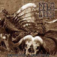 Meat for Lions... Bones for Hyenas